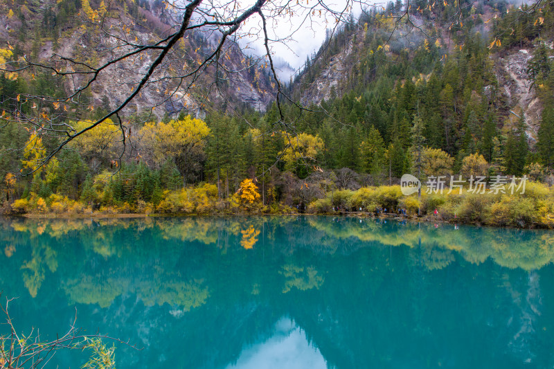 九寨沟秋色，箭竹海和秋景山林