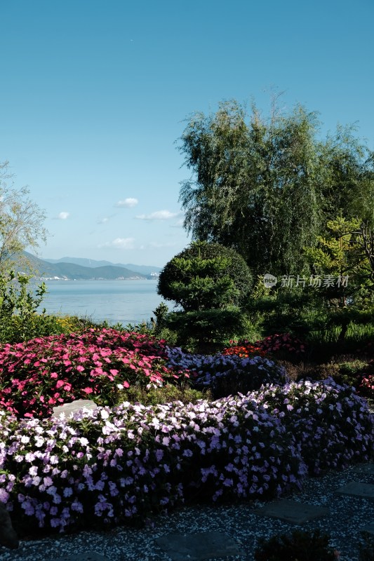 洱海边花园景观花卉绿植