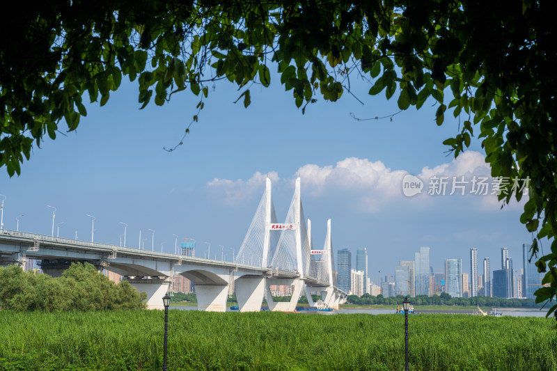 夏季白天武汉长江二桥与城市天际线风光