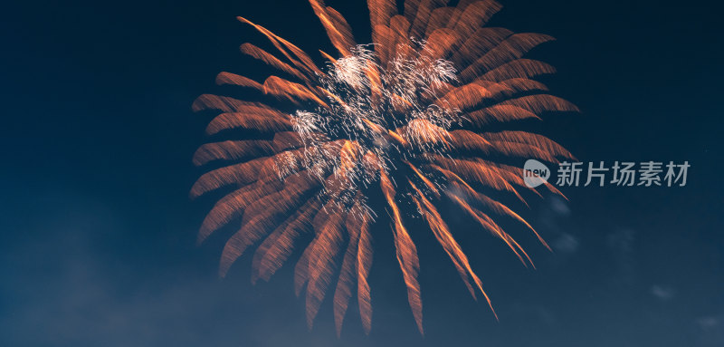 春节烟花绽放夜空