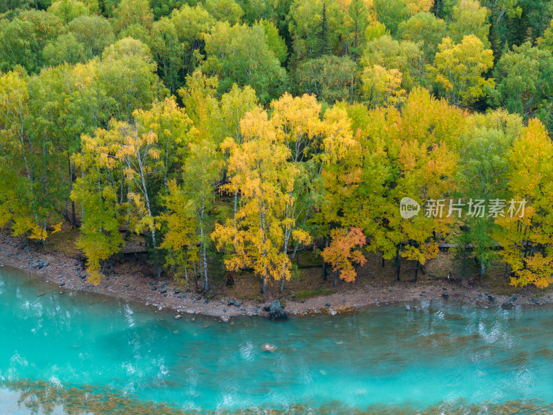 航拍新疆喀纳斯秋景