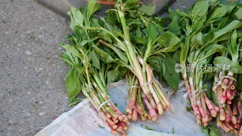 东北春天地摊上售卖的野菜