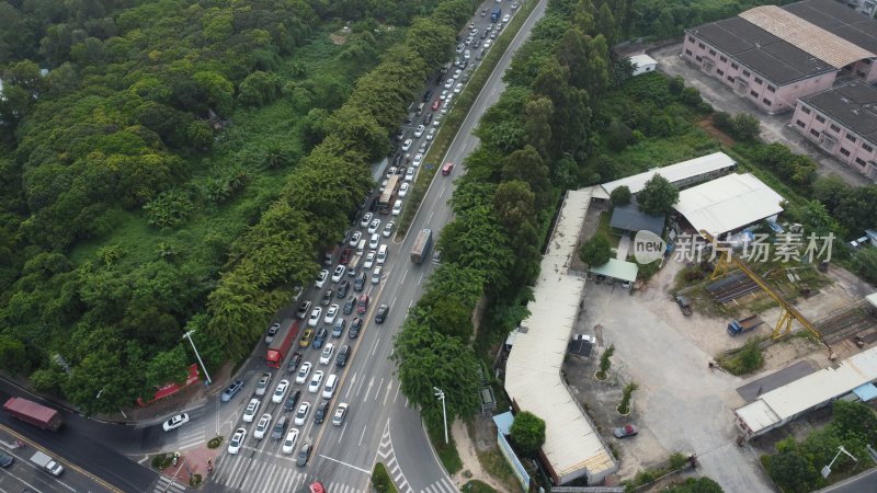 广东东莞：道路早高峰