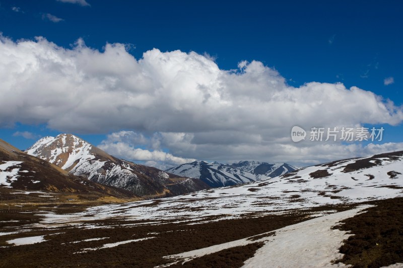 白马雪山