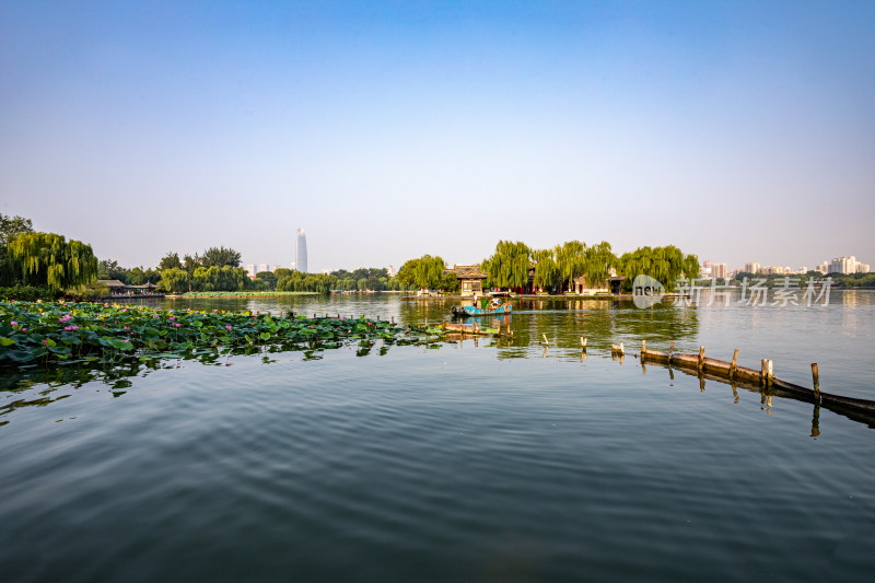 山东济南大明湖风景区自然景观与城市风光