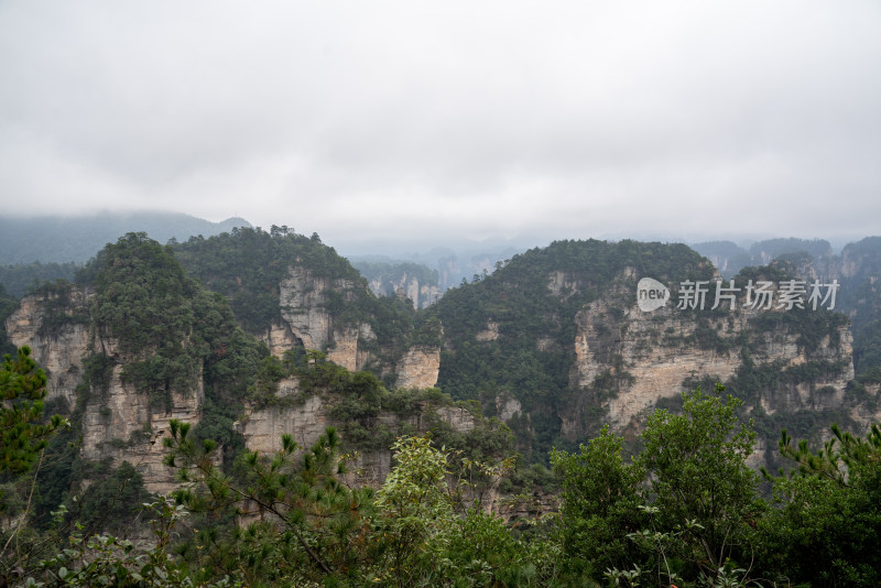 云雾缭绕的张家界奇峰异石景观