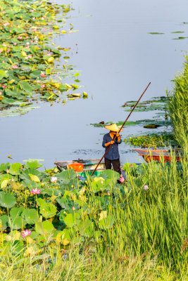 中国邹城孟子湖湖泊湿地渔船自然景观