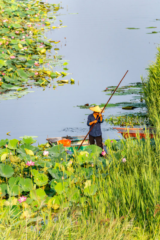 中国邹城孟子湖湖泊湿地渔船自然景观