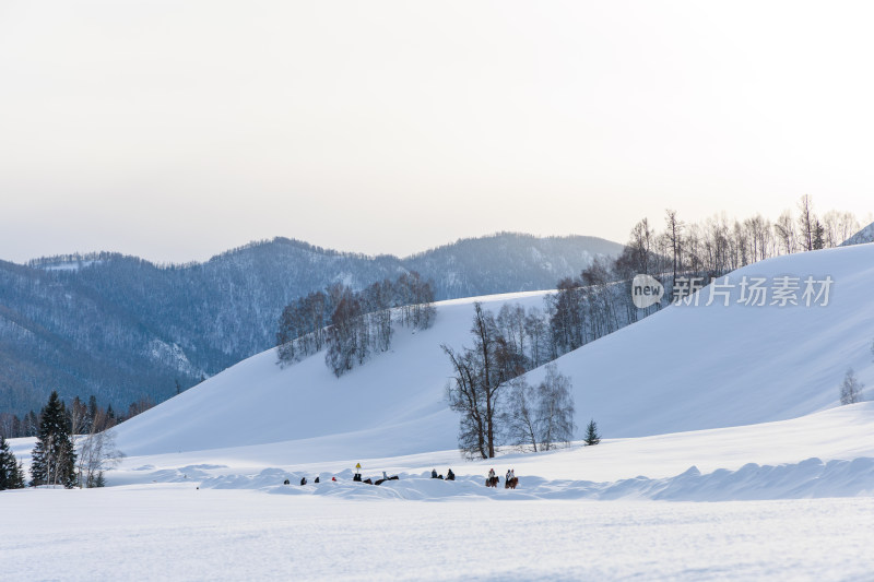 中国新疆阿勒泰禾木冬季雪景白雪覆盖的禾木