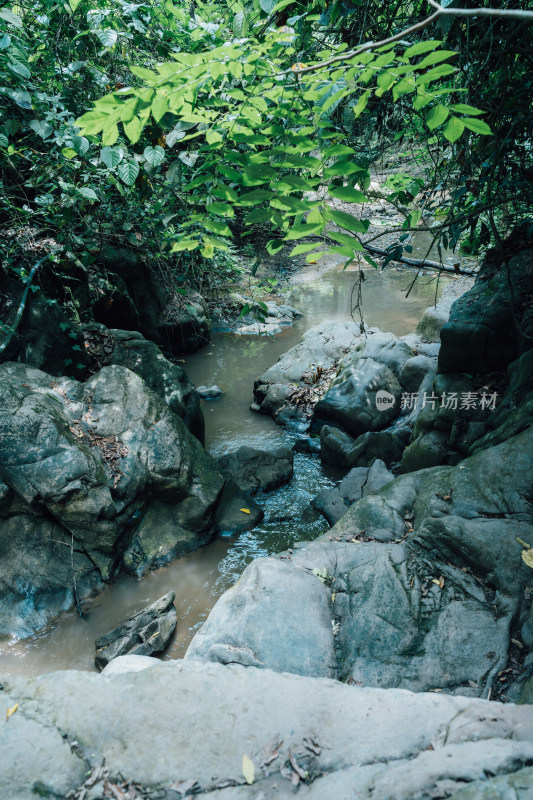 西双版纳热带雨林里的小溪流