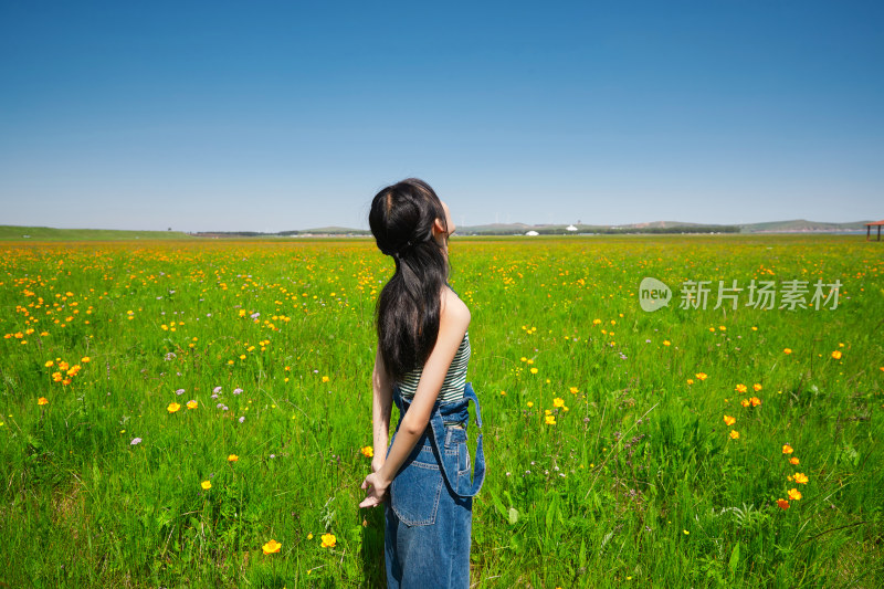 盛夏在草原湿地公园游玩的姑娘