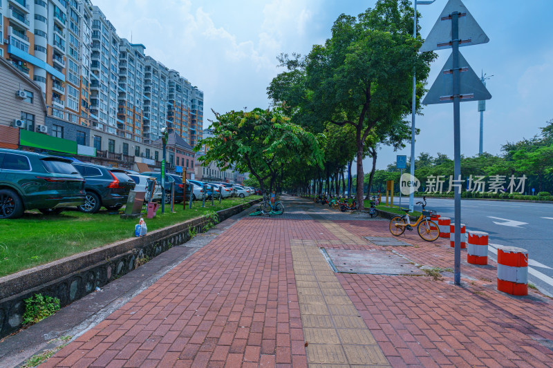 广州番禺钟村街道城市公路与林荫大道景观