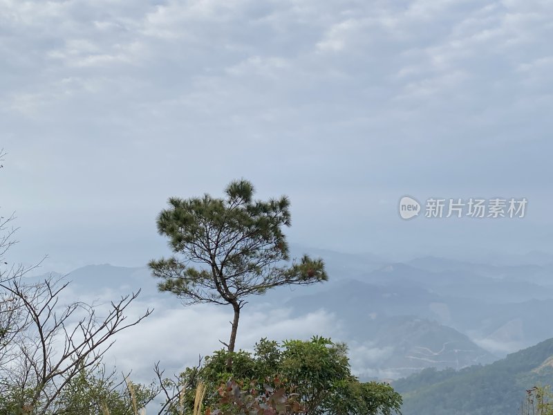 山顶眺望云雾缭绕的群山景观