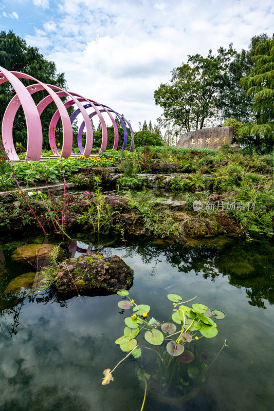 上海植物园自然风景景点景观