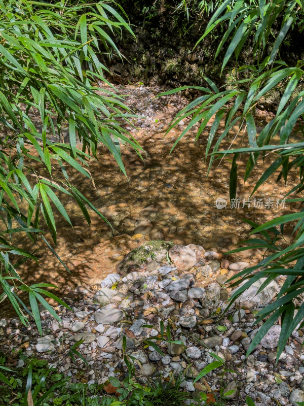 小溪岩石上生长的苔藓的高角度视图