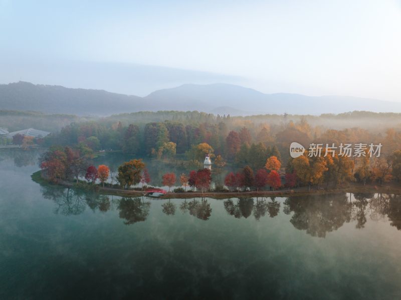 南京中山植物园前湖秋季风光