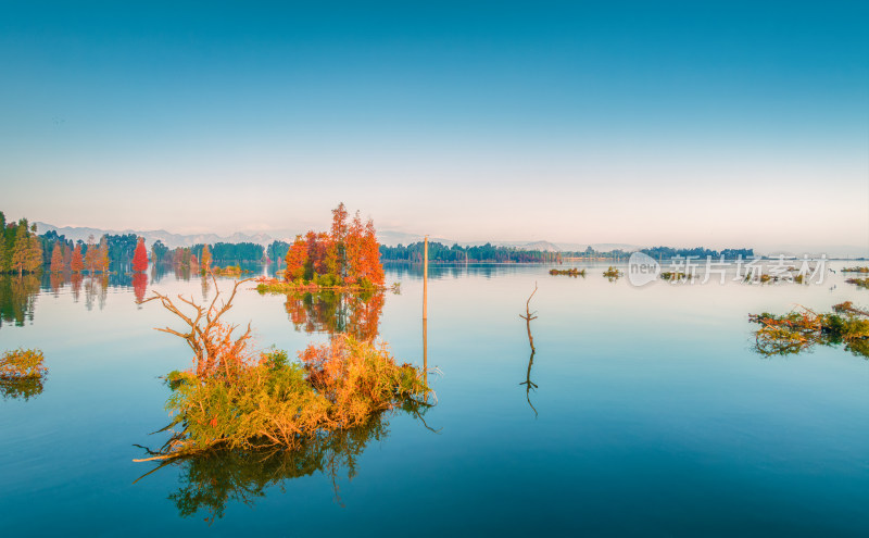 滇池湿地秋景