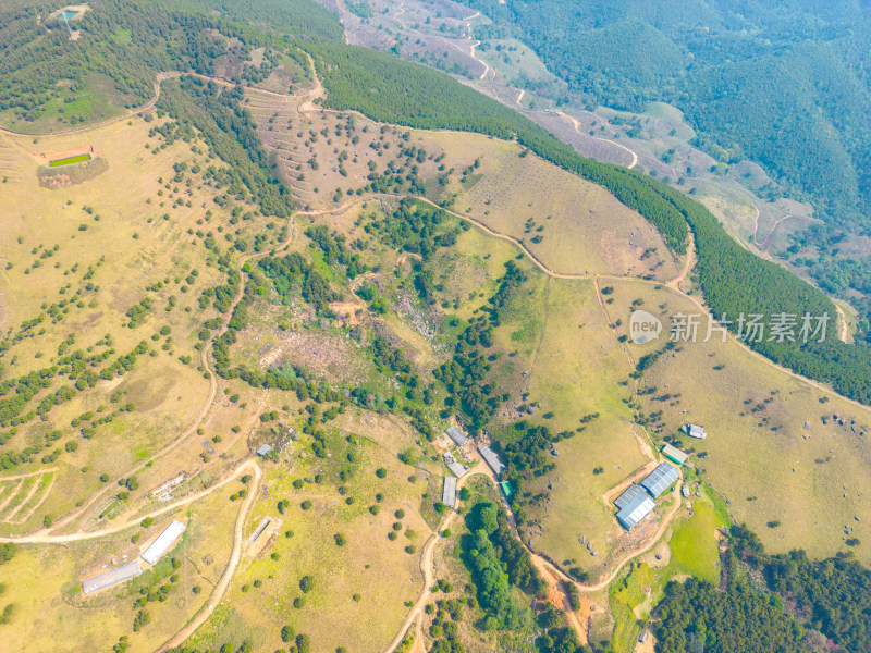 航拍山顶牧场田园风光