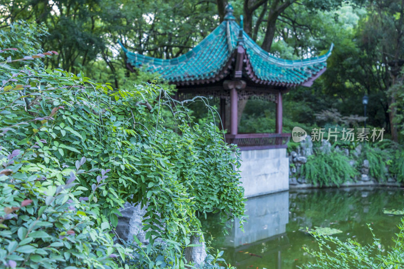 武汉东湖风景区可竹轩景点