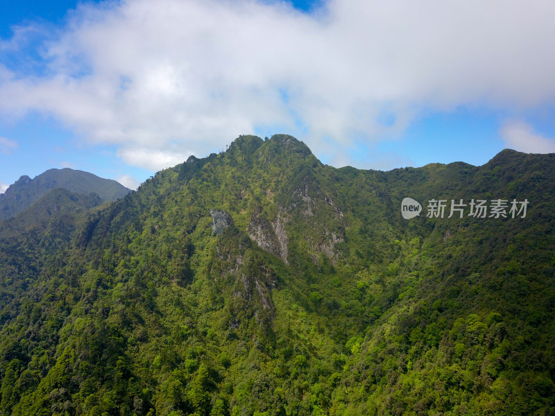 高黎贡山原始山脉