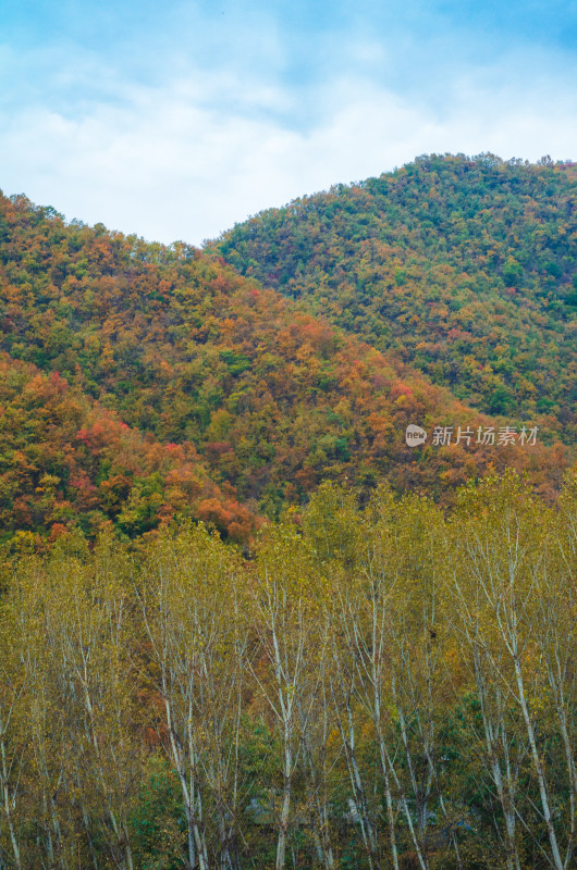 洛阳白云山秋景