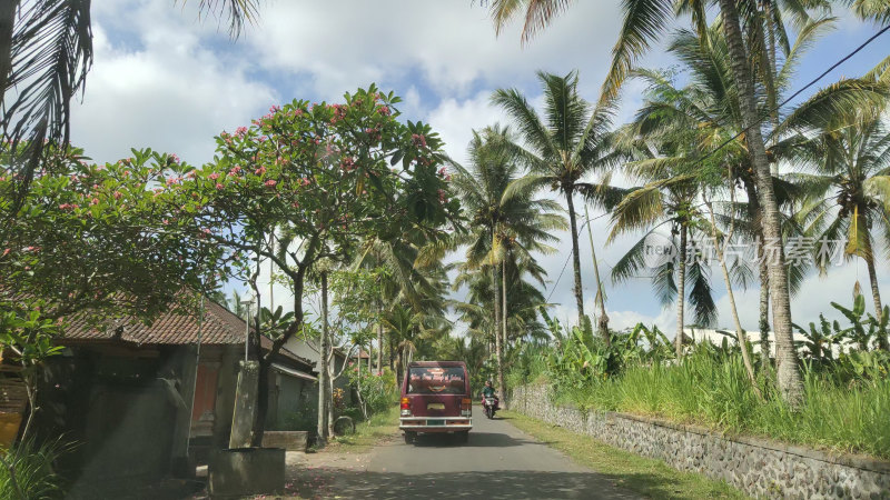 印尼巴厘岛道路街景