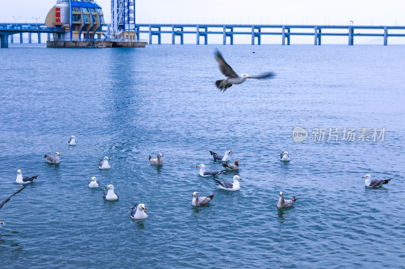 大连星海公园