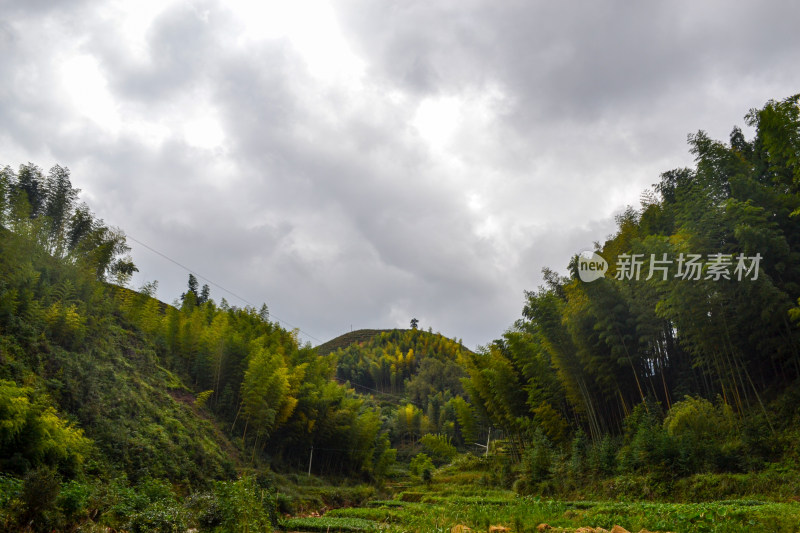 乡村俯瞰图，青山绿树环绕下的村落景象