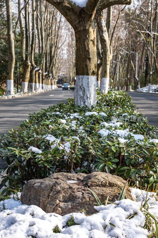 雪后的南京钟山风景区灵谷景区