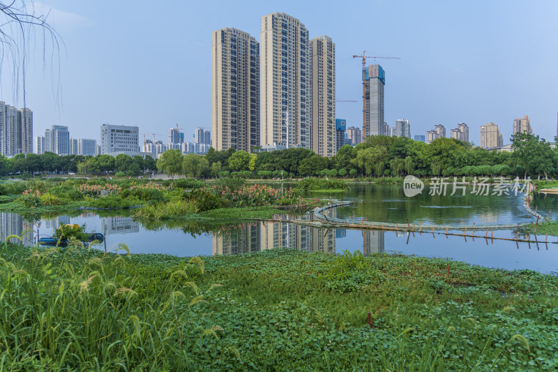 武汉汉阳墨水湖公园湿地公园