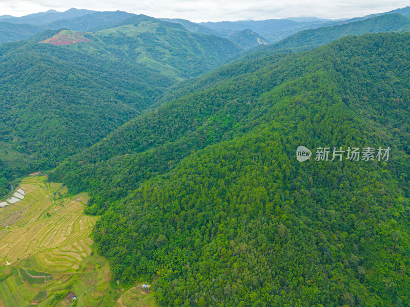 航拍山脉山林