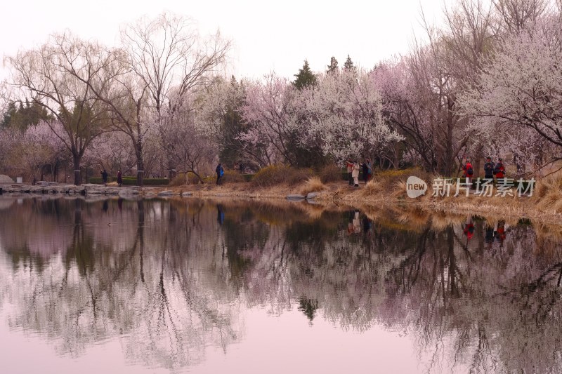 风景系列