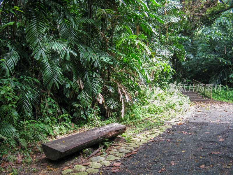 新加坡徒步路线 南部山脊