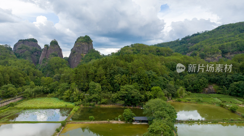 航拍武夷山绿色农田与茶园