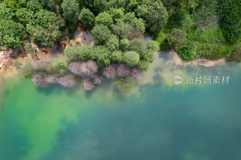 航拍绿树环绕的绿水边景