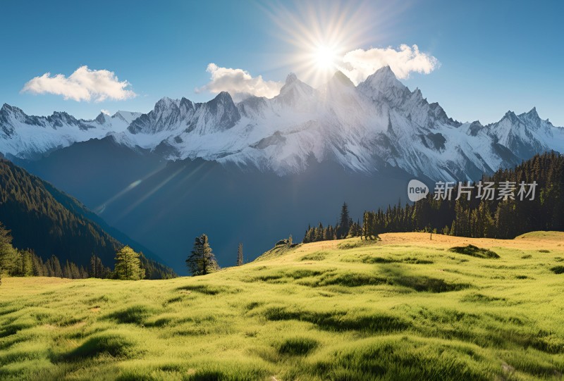 雪山草原森林风景