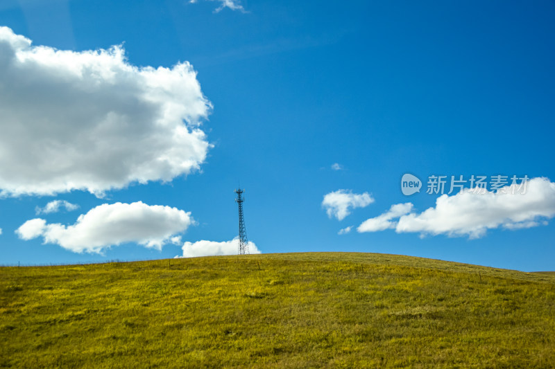 呼伦贝尔大草原