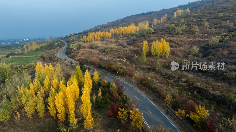 秋天乡村自然风景公路交通