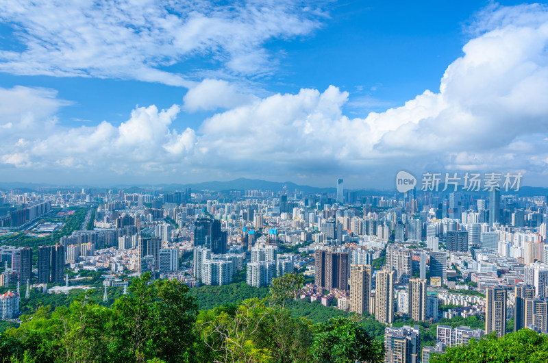 深圳南山公园望城市CBD摩天大楼建筑全景