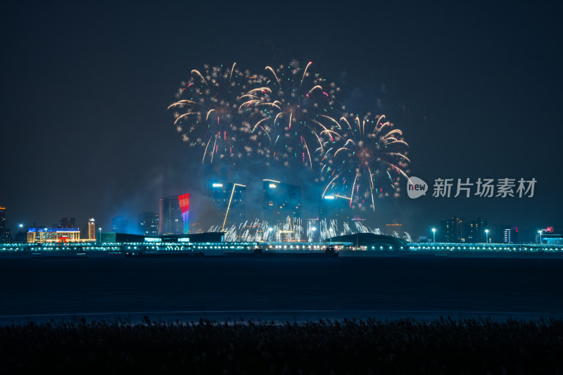 新年夜空中绽放的烟火