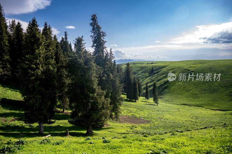 新疆喀拉峻草原