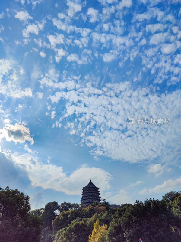 杭州钱塘江边六和塔景观