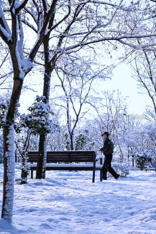 雪后公园中行走的男子