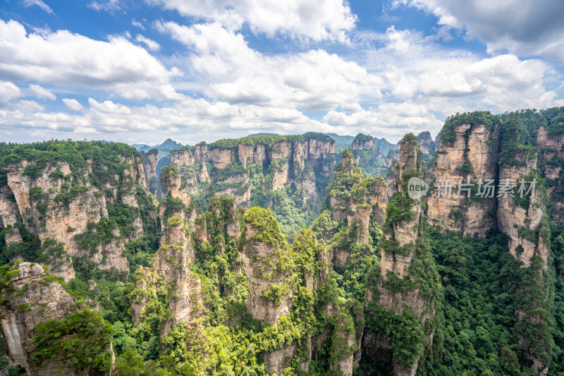 中国湖南张家界景区奇特山峰与茂密森林