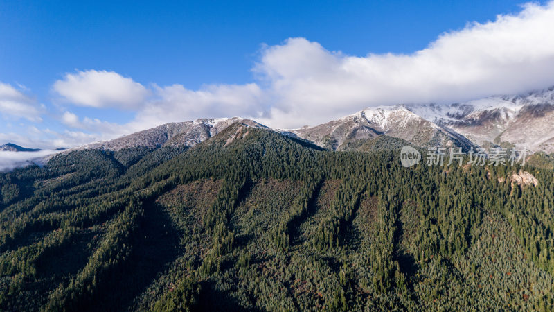 阿坝州若巴藏拉克山