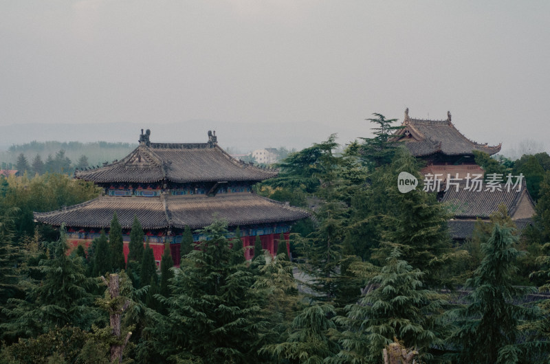 河南省洛阳市白马寺，隐藏在树林中的佛殿