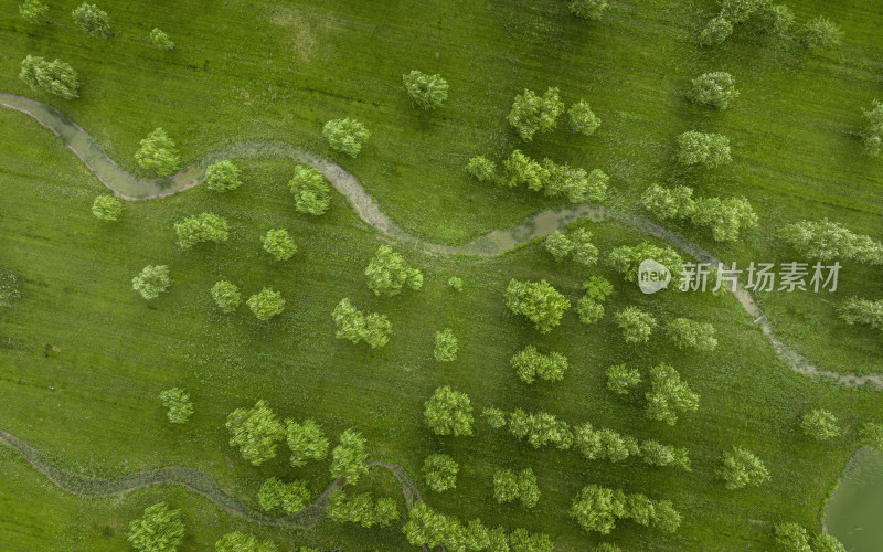 天津市宁河区七星岛湿地公园航拍