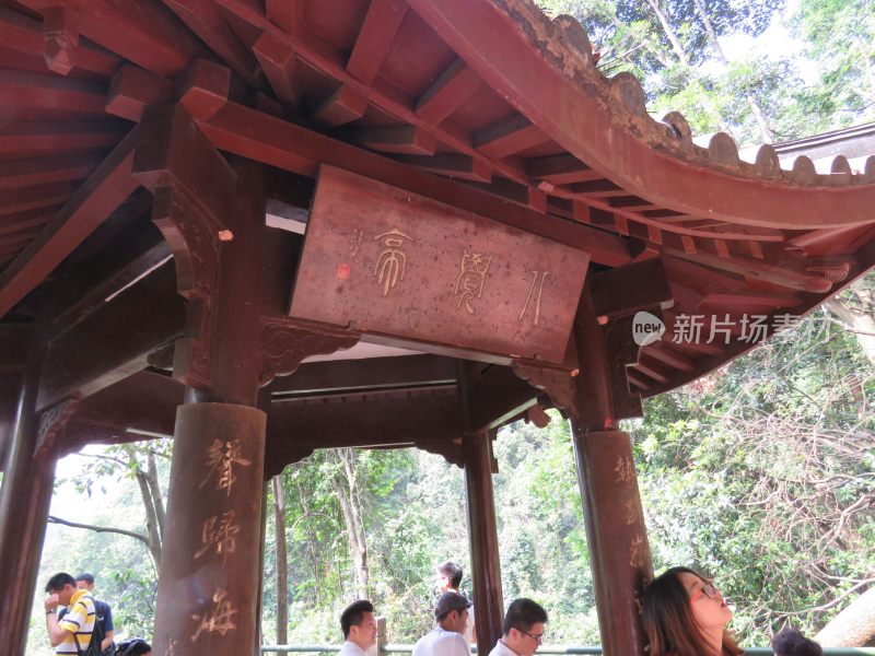 杭州九溪烟树景区