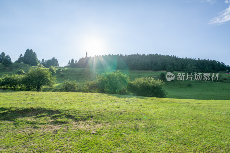 重庆市武隆区仙女山国家森林公园