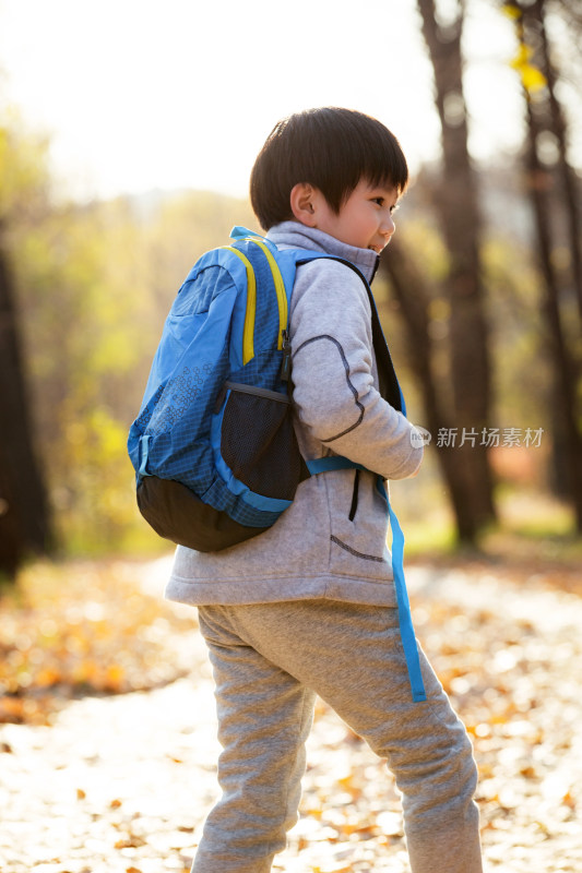 秋天户外小路上背书包的小男孩